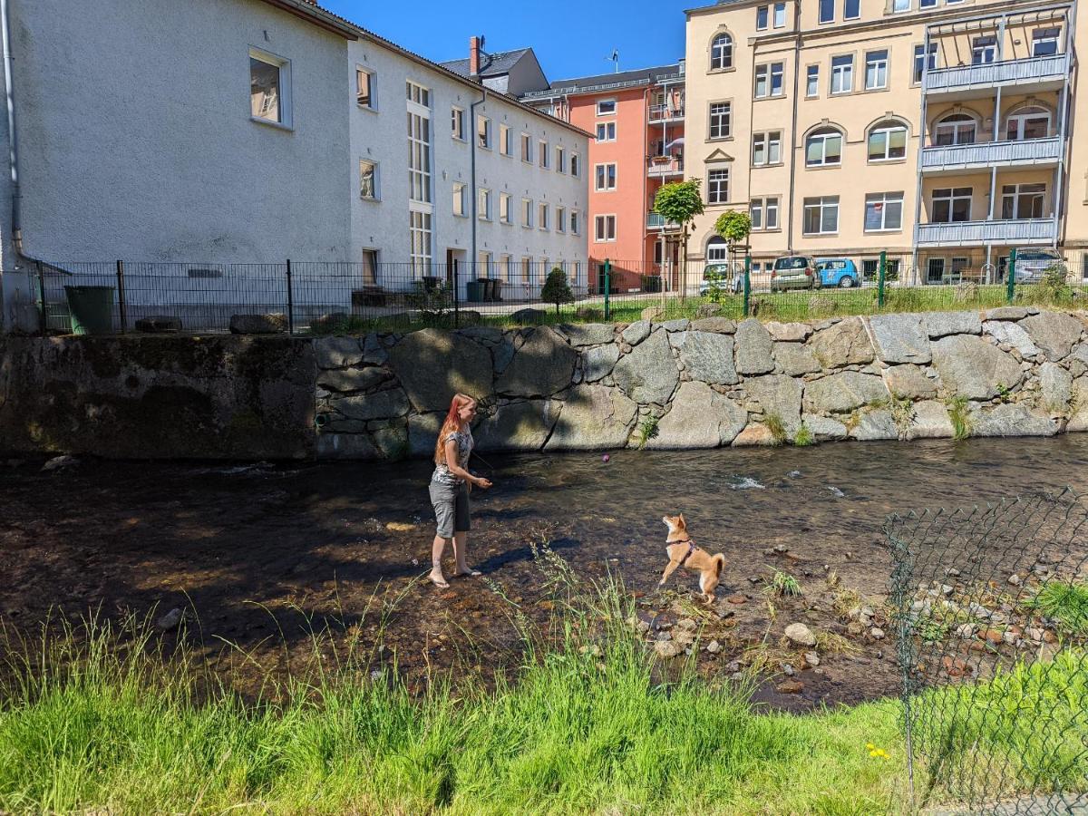 Urlaubstraum Mit Pool, Terrasse & Fluss Im Garten - Ut Lejlighed Sebnitz Eksteriør billede