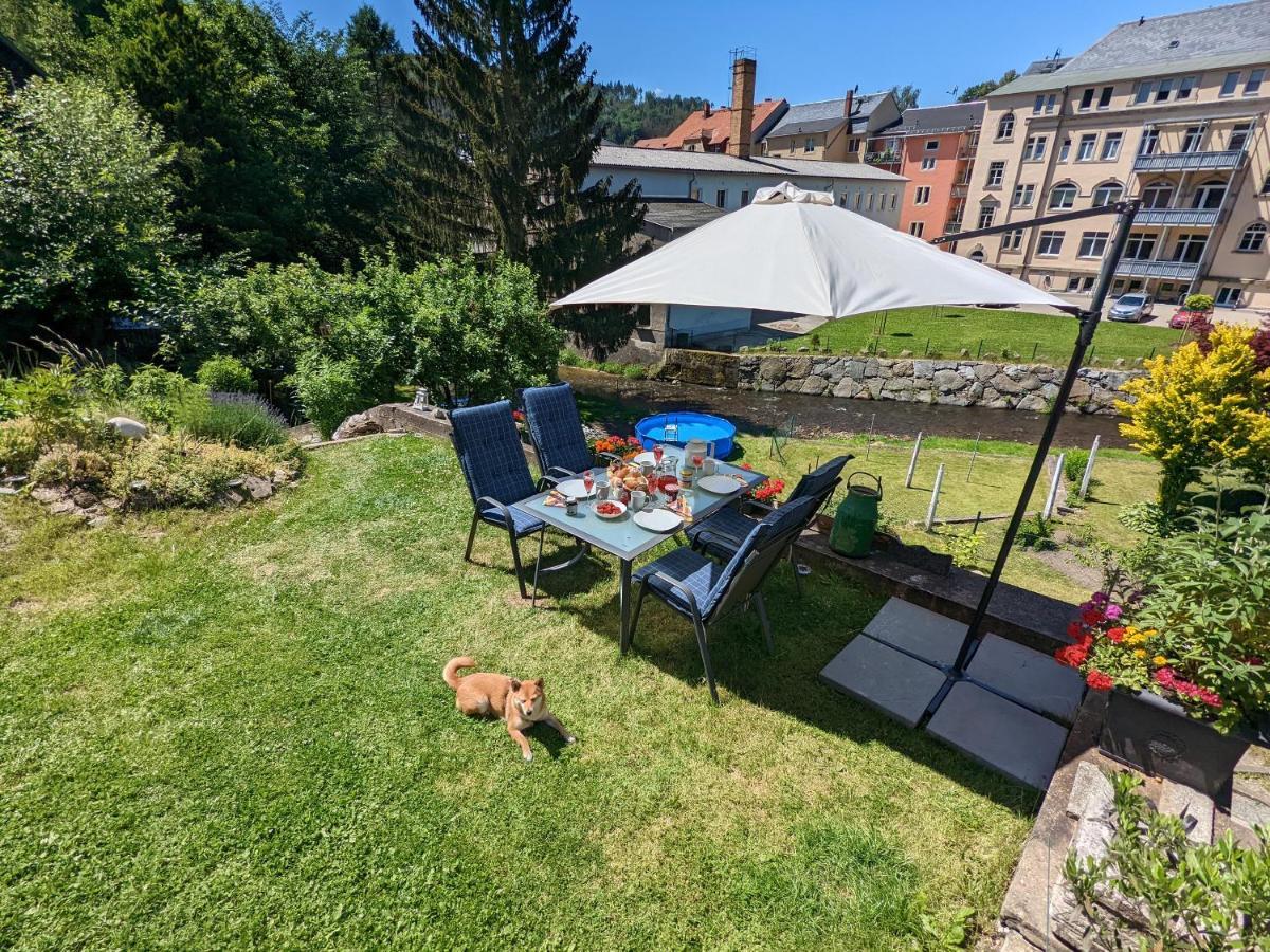 Urlaubstraum Mit Pool, Terrasse & Fluss Im Garten - Ut Lejlighed Sebnitz Eksteriør billede