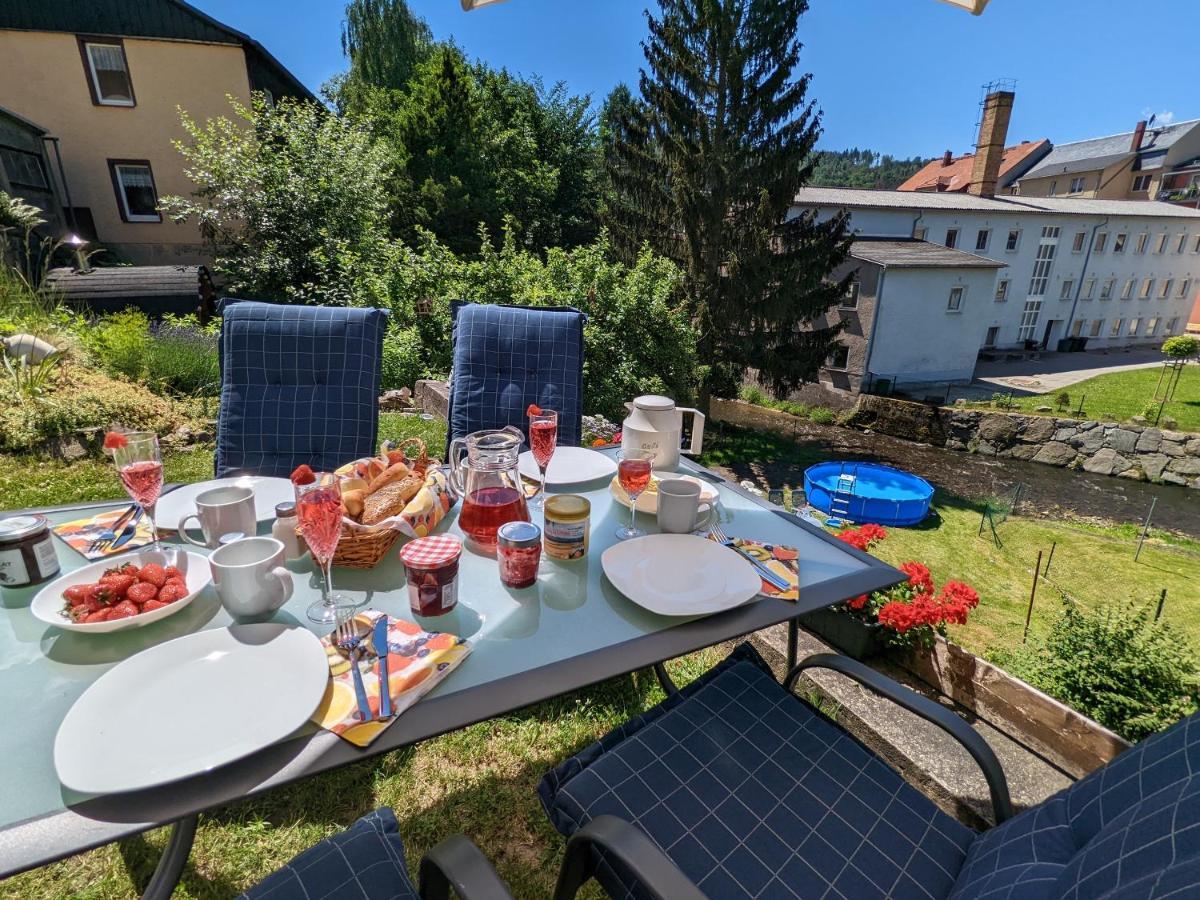 Urlaubstraum Mit Pool, Terrasse & Fluss Im Garten - Ut Lejlighed Sebnitz Eksteriør billede